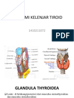 Anatomi Kelenjar Tiroid