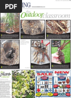Download Propagating cordylines a step-bystep guide with Abbie and Mark Jury by Michael Jeans SN38621848 doc pdf