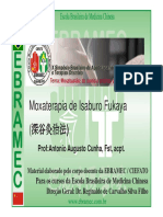 Microssistema Escapula Simposio Ebramec X PDF