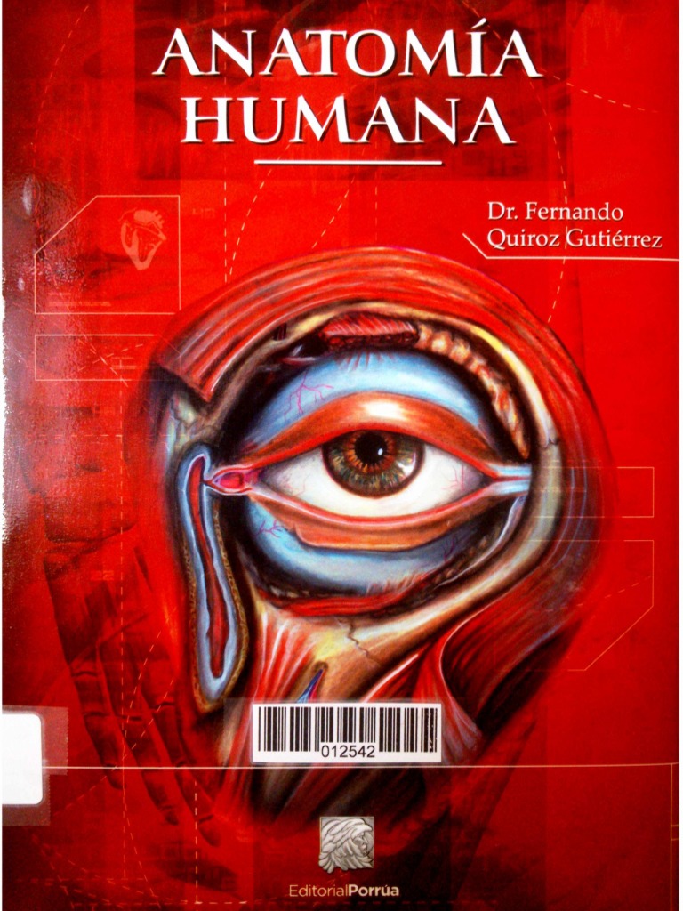 Anatomia humana quiroz pdf gratis descargar