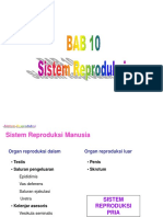 Bab 10