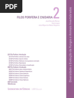 Aula 5 Filo Cnidaria