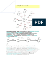 Dirigida Orto Metalación