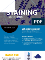 Microbial Staining Techniques