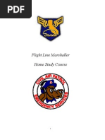 Download Flight Line Marshaller by Cap Tain SN38625420 doc pdf