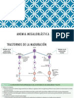 Anemia Megaloblástica