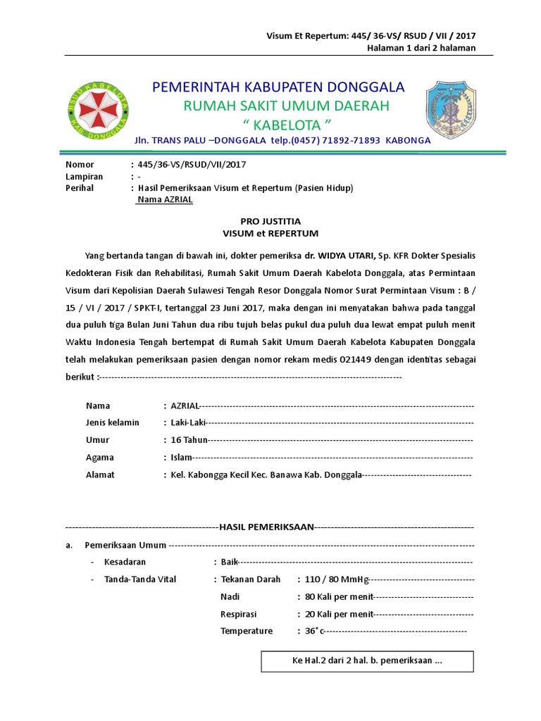 Contoh Visum | PDF