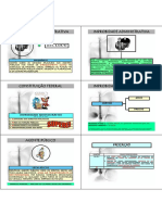 Improbidade Administrativa: Lei 8.429/92