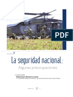 La Seguridad Nacional_ Algunas Preocupaciones