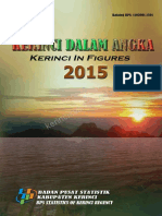 Kerinci-Dalam-Angka-2015.pdf