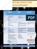 Actividad 2. Cuadro Comparativo de Neuronas