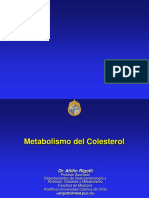 29.Metabolismo de Colesterol.pdf