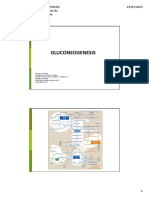 JL Santos GLUCONEOGENESIS SINTESIS DEGRAD CLUCOGENO May 2013.pdf