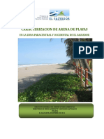 arenasParacentral.pdf