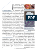 SJ BDJ 2011 344 PDF