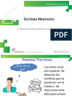 4Basico - Power Point - Ciencias Clase 02 Semana 24