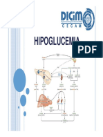 HIPOGLUCEMIA_ICB_2.pdf