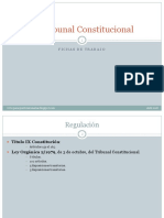 El Tribunal Constitucional.pdf