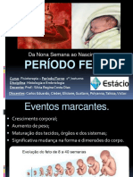 Período Fetal