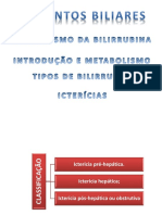 Classificação e características das icterícias