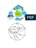 diagramas ecologia