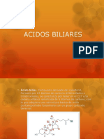 Ácidos biliares: estructura, tipos y funciones