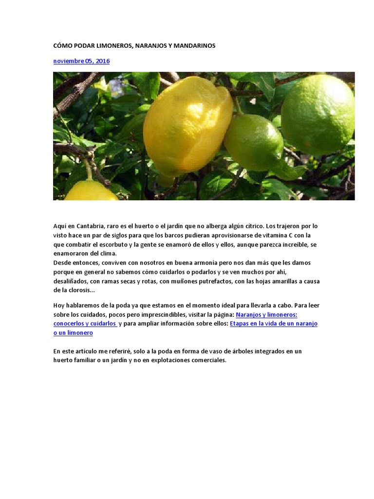 Poda De Limonero Naranjo Y Mandarino Pdf Arboles Tallo De La Planta