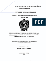 Tesis Ag1137 - Rey PDF