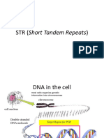 Forensik&PCR STR 1