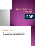 Perception Process(9&10)