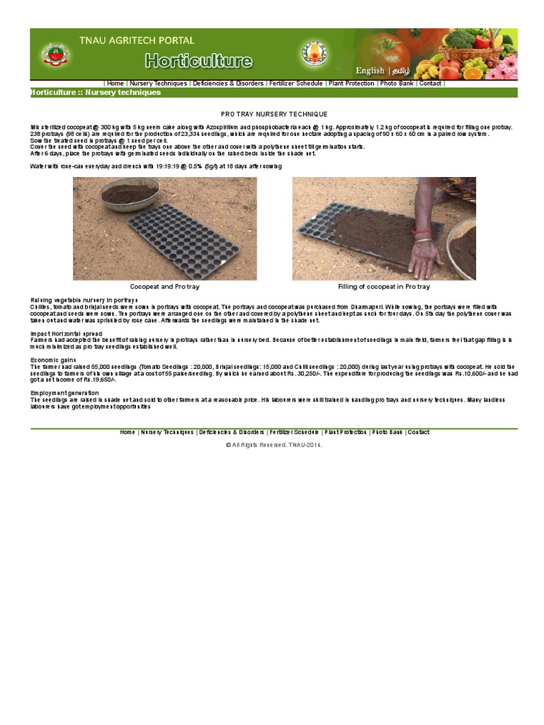 Horticulture Plant Protection PDF Plant Nursery Sowing