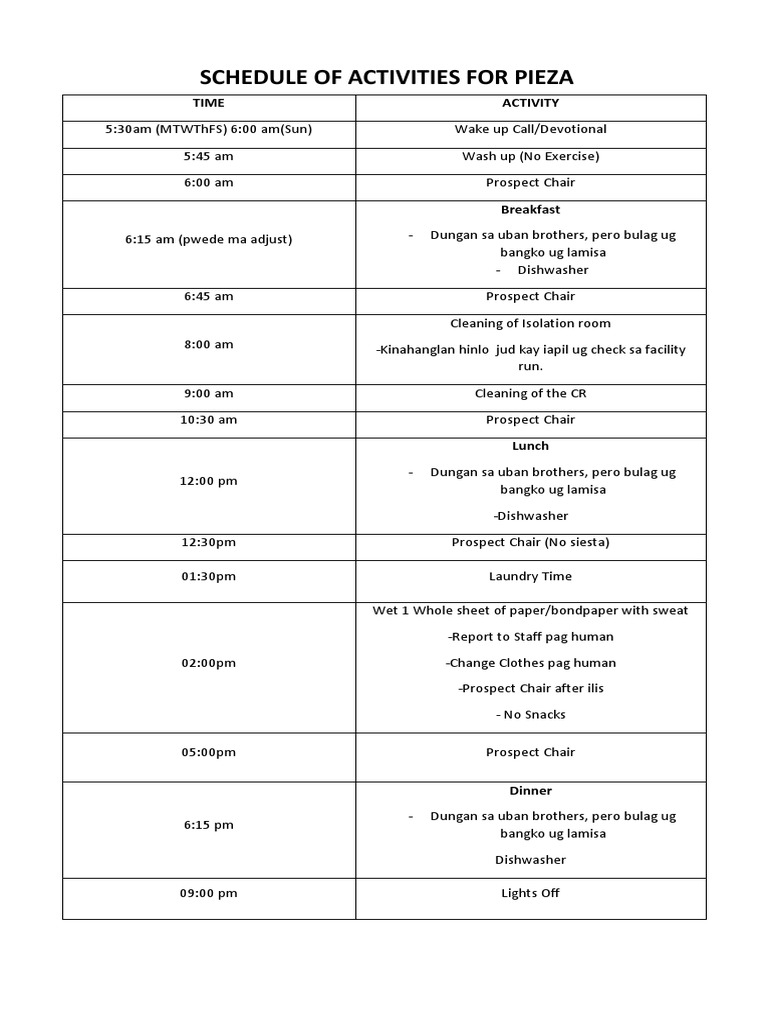 Daily Activity Schedule for Pieza | PDF
