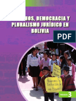 (Cartilla) FT Derechos, Democracia y Pluralismo Jurídico (2013)