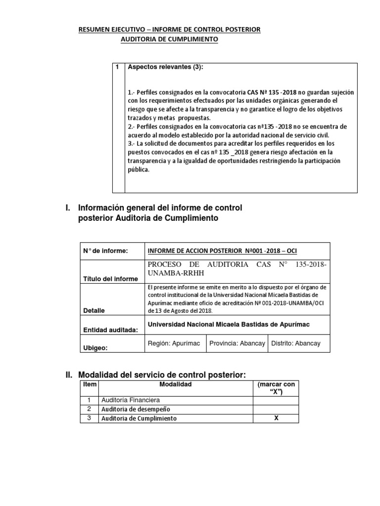 Resumen Ejecutivo de Auditoria | PDF | Auditoría | Business