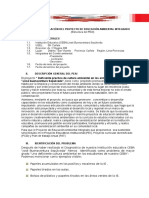 Estructura Peai - Modelo para Completar Ceba Jbs