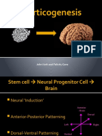 Corticogenesis: John Kerk and Felicity Gore