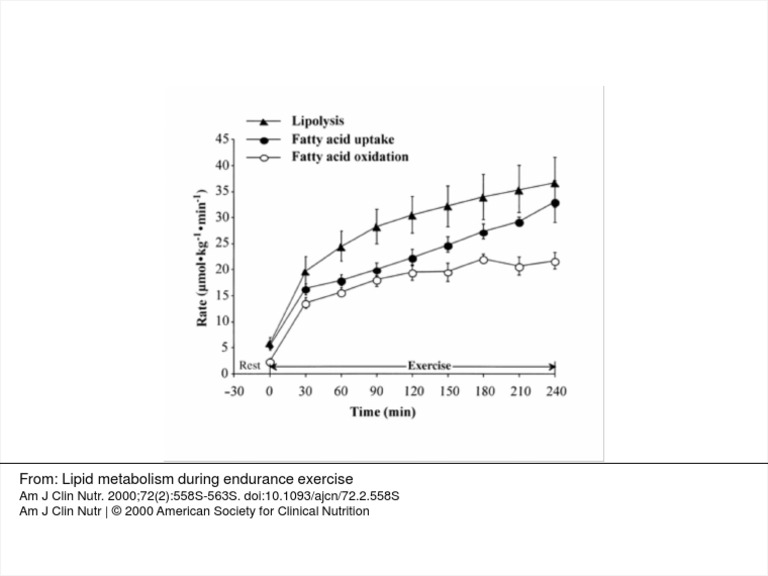 Lipid Metabolism During Endurance Exercise | PDF