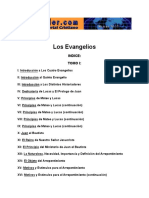 251 Los Evangelios Tomo I.pdf