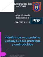 Hidrolisis de Proteinas