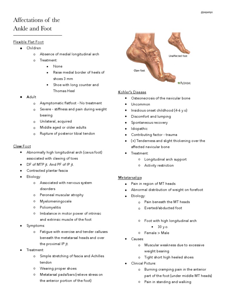 Affectations of The Ankle and Foot: @joepamps | PDF | Toe | Foot
