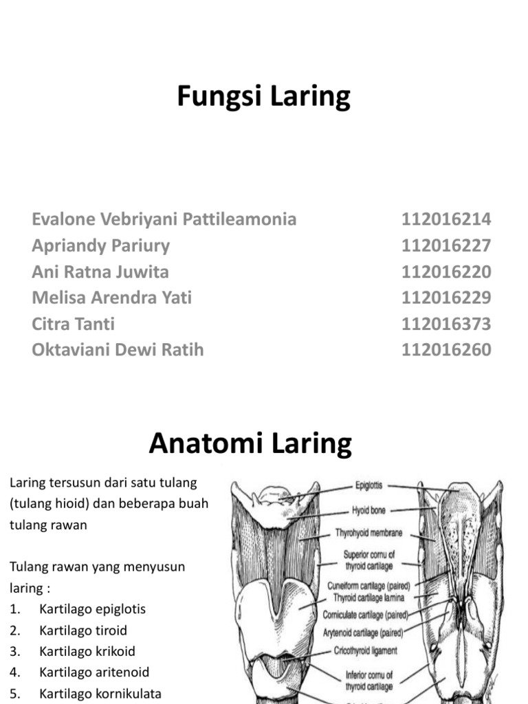 Fungsi Laring Fix Pptx