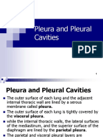 Pleura and Pleural Cavities Anatomy