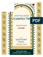 Rav Dovid Dudkevitch on Parshat Shoftim 5778