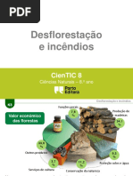 Desflorestação e Incêndios 