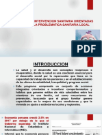 1 Programa de Intervencion Sanitaria Orientadas a Solucionar La