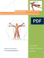 UFCD 9134 Anatomia Índice