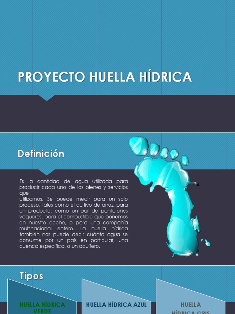 Proyecto Huella Hídrica | PDF | Riego | Agua