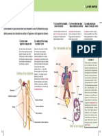 06 Formationdelurine