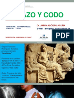 Brazo Codo 2018. ANATOMIA HUMANA USMP