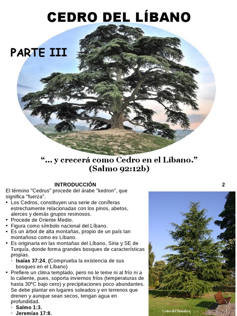 Estudio Parteiii Cedrodellibano Salmo92!13!160718140359 | PDF | Libro del  éxodo | Moisés, image size:768x1024